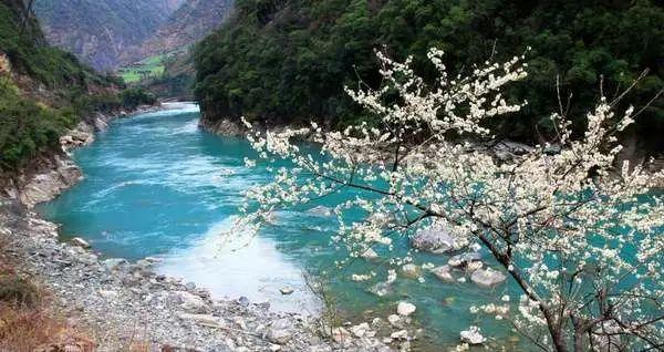 16.37万元起售，采用燃油动力，标致508L值得选吗