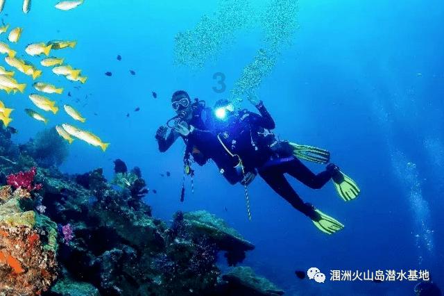 植物大战僵尸16