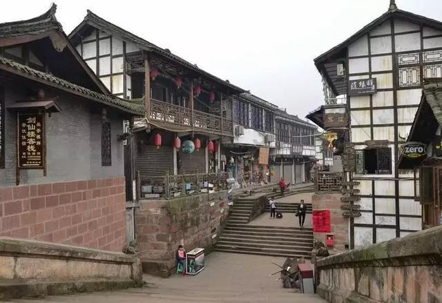 可爱的小考拉